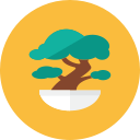 bonsai tree icon